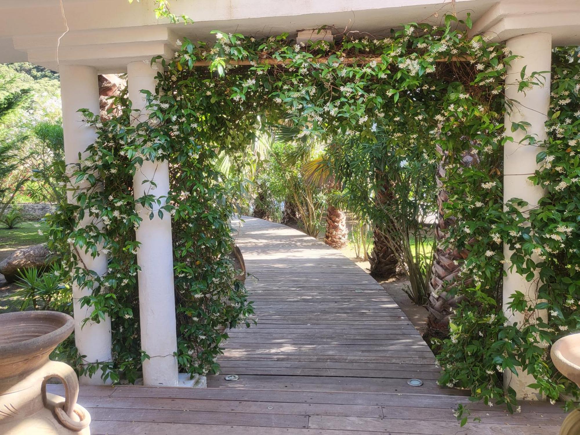 Villa Petra Bianca Suite & Chambre A 10Mn A Pied Du Port De Bonifacio ボニファシオ エクステリア 写真